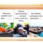 Paare finden, Sprichwörter ergänzen