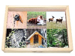 Mit Montessoriö-Material lernen wo Tiere zuhause sind.